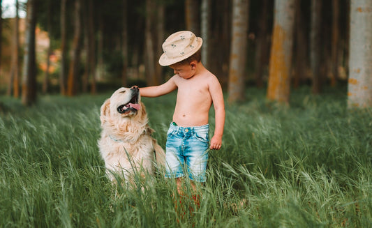 Waarom Het Geweldig Is Voor Kinderen om Op te Groeien met een Hond